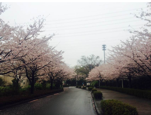 QQ鍥剧墖5.png QQ鍥剧墖5.png